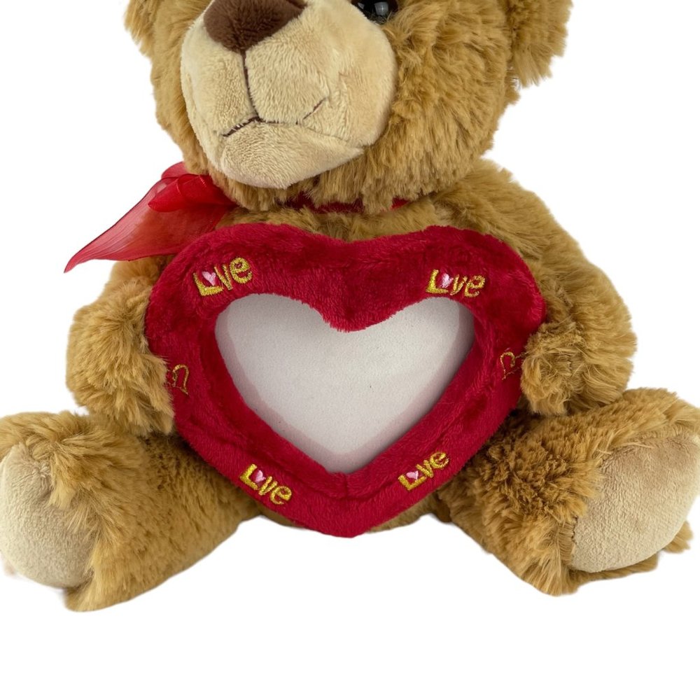 Walmart Teddy Bear Valentines Day‎ Plush 11" Red Heart Photo Frame - Picture 3 of 6